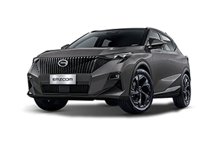 EMZOOM GL 1.5 AT 2WD